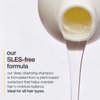 milk_shake Deep Cleansing Shampoo - SLES Free Deep Cleaning Shampoo to Remove Buildup, 10.1 fl. oz.
