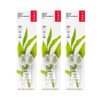 RADIUS Toothbrush Replacement Brush Heads 2-Count Improve Gum Health & Reduce Gum Issues - Soft - Pack of 3