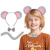 Berjena Mouse Ears Set, Rat Costume Set, Include Mouse Ears Headband Tail and Bowtie, Mouse Costume with Rat Ears for Halloween Costume Cosplay or Party Decoration