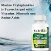 Marine Phytoplankton Plant-Based Omega 3 Supplement Capsules 1,000 mg - Promotes Energy, Focus, and Cellular Energy - 60 Vegetable Capsule