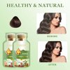 HUANG YI Bubble Plant Hair Dye Natural Plant Hair Dye, New Botanical Bubble Hair Dye Hair Dye Shampoo 20ml 10Packs/Box (Chestnut Brown)