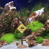 Balacoo Aquarium Funny Ornaments Shark Warning Signs Fish Tank Resin Decoration Craft Landscape DÃcor for Aquarium Fish Tank Home