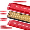 SWAN Blues Harmonica C Key for Kids Adults, 10 Hole 20 Tone Diatonic Harmonica Key of C Blues Harp for Beginners Students, Mouth Organ in Stainless Steel Burgundy Red, SW1020-7C