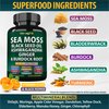 Sea Moss Black Seed Oil Ashwagandha Ginger, Organic Sea Moss Capsules with Burdock Root, Irish Seamoss Pills with Bladderwrack, Turmeric, Shilajit, Multimineral Supplement, USA (120 Capsules)