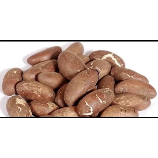 Bitter Kola Nut Garcinia Kola Cola 1 Lb