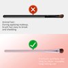 Eyeshadow Brushes,5pcs Eye Makeup Brush Set with Eyeliner Brush Eyeshadow Brush Concealer Brush Blending Brush Eyebrow Brush with Case, Pink Makeup Brushes for Travel