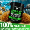 Organic Shilajit Gummies with Sea Moss Gummies - Shilajit Supplement for Immune Support - Pure Himalayan Shilajit and Ashwagandha with Sea Moss and Shilajit, Lion’s Mane Extract and Black Seed Oil