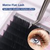 Matte Flat Eyelash Extension 0.15 C Curl 10mm Ellipse Flat Mink Black Super Soft for Professional Salon Use