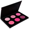 SHANY Shimmer & Matte Cool-Toned Blush Palette - Layer 5 - Refill for the 6 Layer Mini Masterpiece Collection Makeup Set