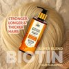 The Indie Earth Rosemary Mint Biotin Hair Shampoo for Stronger, Thicker & Longer Hairs with Vitamin E and B5 | Hair Growth Shampoo for Healthy Hairs, Contains NO SLS, NO SLES, NO PARABENS 300 mL