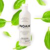 Noah Hair - 1.5 Purifying Shampoo with Green Tea and Basil - Organic Shampoo - With Green Tea Extract and Essential Oils– Natural Shampoo - Dandruff Shampoo - Hair Care for Natural Beauty - 8.5 fl.oz