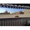 YOKMO Cat Balcony Rail Net Cat Anti-Fall Netting Pet Balcony Mesh Fence Net Dog Fence Nets Black Nylon Pets Anti-Fall Mesh Fence, 10 x 20ft