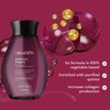 Nativa SPA by O Boticário, Black Plum Body Oil, Enriched with Purified Quinoa Drops to Boost Hydration, 6.8 Ounce