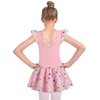 DANSHOW Ballet Leotards for Girls Dance Skirted Leotard Kids Ballet Tutu Dress Toddler Shiny Ruffle Sleeve Dancewear(40431-08-M)