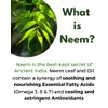 High Potency Organic Neem Leaf Capsules | Herbal Supplement | 120 Count, 1,500 mg with Neem Leaf Extract