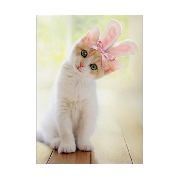 Kitten With Bunny Ears - Avanti Cat Easter Greeting Card