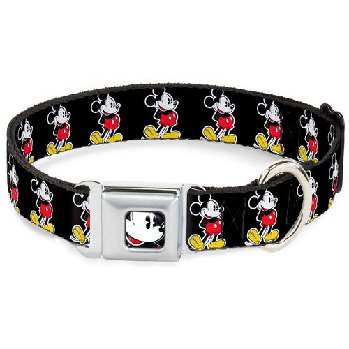 Dog Collar Seatbelt Buckle Jasmine Aladdin Carpet Ride Jasmine Poses Flowers 18 to 32 Inches 1.5 Inch Wide