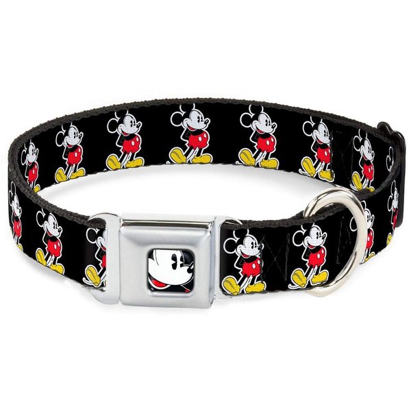 Dog Collar Seatbelt Buckle Jasmine Aladdin Carpet Ride Jasmine Poses Flowers 18 to 32 Inches 1.5 Inch Wide