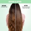 Nykaa Naturals Hair Mask - Boosts Blood Circulation - Combats Hair Loss and Thinning - Clarifies Your Scalp of Dead Cells, Suitable for All Hair Types - Amla and Curry Leaves - 6.76 oz