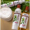 EDEN BodyWorks JoJoba Monoi Deep Conditioner | 16 oz | Moisturize, Soften & Repair Hair - Packaging May Vary