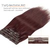 Caliee Clip in Human Hair Extensions Burgundy Wine Red 99J Hair Straight Real Human Hair Extensions Clip in 140g 20 Inch Red Clip in Extensions 100% Virgin Hair Extensions 7PCS