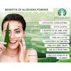 AYURVEDASHREE Aloe Vera Leaf Powder 100 Gram - 100% Pure & Naturally Cultivated Aloevera Powder - Aloe Barbadensis - Vegan I Non GMO I Natural Skin Moisturizer