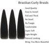 Brazilian Curly Braids Crochet Twist Hair 30inches 3Packs Afro Kinky Curly Braiding Hair Extensions Deep Curly Crochet Hair Synthetic Water Wave Braid Hair(30Inch,2#)