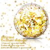 Civaner 10 Pieces Inflatable Beach Balls Glitter Christmas Swimming Pool Balls Christmas Outdoor Decor Ball Ornaments Floatable Confetti Ball for Beach Party Xmas Party Favor, 16 Inch(Gold, Silver)