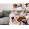 Tuff Pupper Dog Undercoat Rake Tool | Easily & Safely Remove Dead, Matted Or Knotted Hair | Ergonomic Dematting Comb For Thick Coats | Non-Slip Safety Handle Provides Precision Control Against Knots