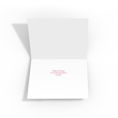 Stonehouse Collection | Christmas Cards Boxed with Envelopes | Funny Christmas Cards | Funny Santa Holiday Greeting Card | Boxed Christmas Cards | Set of 18 (Standard)