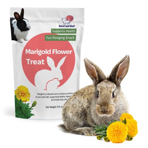 Snout and Shell Marigold Flower Treat for Small Pets – Organic, Healthy Digestive Support – Fun Foraging Snack for Rabbits, Guinea Pigs, Chinchillas, and More – 0.5 oz / 14g