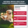 MaxBuddy Natural Intestinal Defense Herbal Cleanser for Cats and Dogs – Helps Remove Parasites & Toxins - Broad Spectrum Support for Gut Wellness & Digestive Issues Supplement Drops for Pets