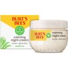Burt's Bees Calming Night Cream With Aloe and Rice Milk, Face Moisturizer For Sensitive Skin Infuses Skin With Moisture While You Sleep, 98.8 Percent Natural Origin Skin Care, 1.8 oz. Tub