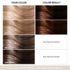 Luxecolors Depositing Hair Dye Conditioner, Semi Permanent Reflesh Hair Color Conditioner, Non-foaming Hair Coloring, Cruelty-free 5.28 fl.oz (Copper)