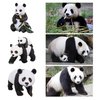 Toymany 4PCS Solid Panda Figurines Toy Set, 2-4" Realistic Plastic Jungle Animals Figures Family Set with Bamboo & Baby Pandas, Educational Toy Cake Toppers Christmas Birthday Gift for Kids Toddlers