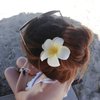 6 Pcs Hawaiian Leis Plumeria Hair Clips Luau Tropical Flower Leis Barrettes Headpiece Women Floral Necklace Wreath Hair Pins Hairpins Hairclips Summer Beach Wedding Birthday Party Decoration Supplies