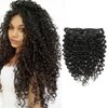 Lacer Curly Clip in Human Hair Extensions Jerry Curly 3B 3C Real Hair Clip in Extensions For Black Women Natural Black Color 100% Brazilian African American Hair Extension (18 inch, Jerry Curly #1B)