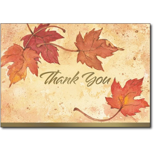 Fall Leaves Thank You Note Cards & Envelopes - 50 Cards & Envelopes - Includes Gold Foil Highlights!