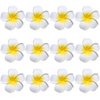 Flower Hair Clips Plumeria Hawaiian Hawaii Hair Clip Set Floral Barrettes Women Tropical Foam Wedding Vacation Beach Party Decorations Cosplay Costume Handmade Hair Accessories Plumeria White 12 Pack