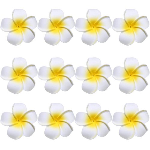 Flower Hair Clips Plumeria Hawaiian Hawaii Hair Clip Set Floral Barrettes Women Tropical Foam Wedding Vacation Beach Party Decorations Cosplay Costume Handmade Hair Accessories Plumeria White 12 Pack