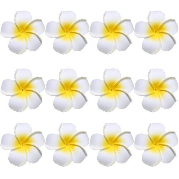 Flower Hair Clips Plumeria Hawaiian Hawaii Hair Clip Set Floral Barrettes Women Tropical Foam Wedding Vacation Beach Party Decorations Cosplay Costume Handmade Hair Accessories Plumeria White 12 Pack