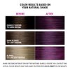 Better Natured Permanent 6VV Intense Violet Hair Color Dye - Naturally-derived, Vegan & 100% Gray Coverage that Lasts up to 8 Weeks