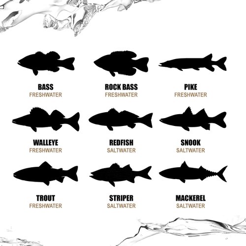 Lunkerhunt LHPBS403 Swim Bento Series 4.5-Inch Parrot Style Fishing Lure