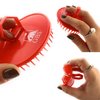 G.B.S Scalp Massage Dandruff Hair Brush, Pack of 2