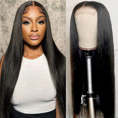 ESIWONHAIR Straight 4x4 Lace Front Wigs for Black Women Glueless Human Hair Brazilian Virgin HD Transparent Silky Straight Lace Closure Wigs Pre-Plucked with Baby Hair (16Inch, Natural Color)