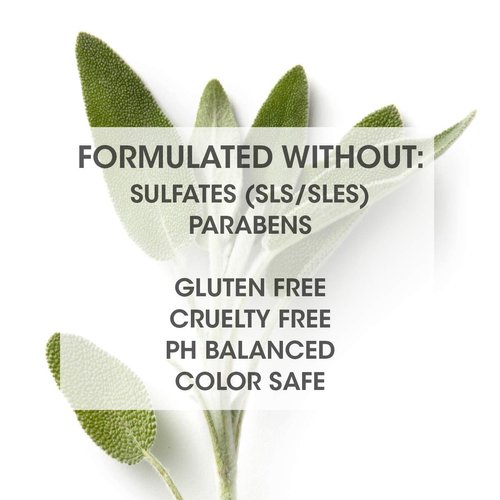 Rinzu HELIO violet shampoo and conditioner set from SEVEN haircare, a toning shampoo and conditioner system for blonde hair, cruelty free, sulfate free, 14 Fl oz