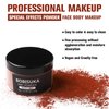 BOBISUKA Makeup Special Effects Dirt Powder for Halloween Makeup Theme Party Wedding Movies Stage Performances Cosplay(0.78 oz)(Gray Stone)