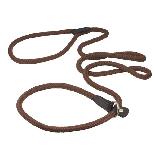 Dogs My Love Nylon Rope Slip Dog Lead Collar and Leash British Style 4ft Long (Medium: 3/8" (8mm), Brown)