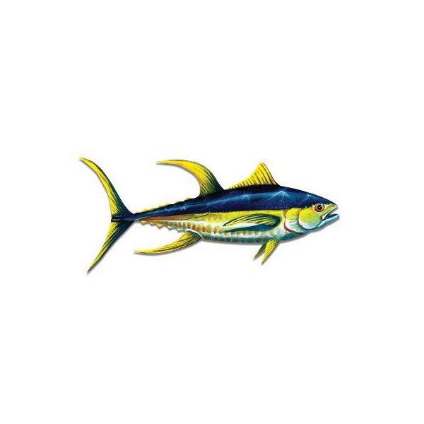 GT Graphics Yellowfin Tuna - 8" Vinyl Sticker - for Car Laptop I-Pad - Waterproof Decal