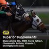 Majesty's Flex Wafers - Superior Horse / Equine Joint Support Supplement - Glucosamine, MSM, Chondroitin, Yucca, Vitamin C - 30 Count (1 Month Supply)